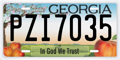 GA license plate PZI7035