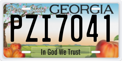 GA license plate PZI7041