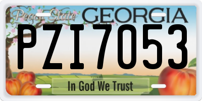 GA license plate PZI7053
