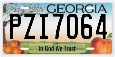 GA license plate PZI7064