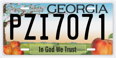 GA license plate PZI7071