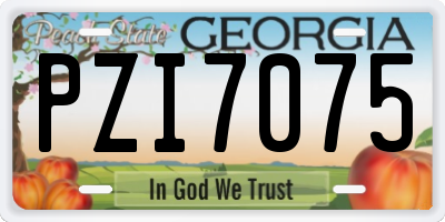 GA license plate PZI7075