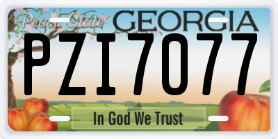 GA license plate PZI7077