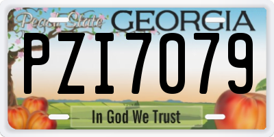 GA license plate PZI7079