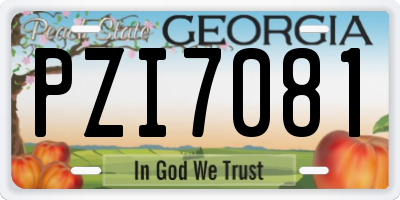 GA license plate PZI7081