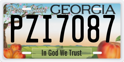 GA license plate PZI7087