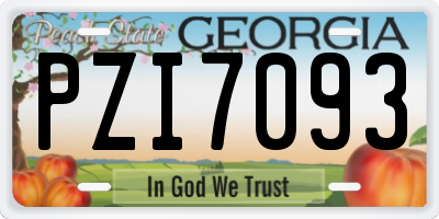 GA license plate PZI7093