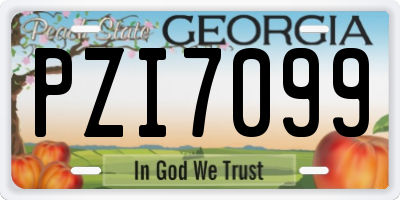 GA license plate PZI7099