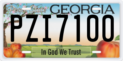 GA license plate PZI7100