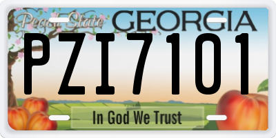 GA license plate PZI7101