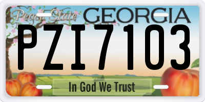GA license plate PZI7103