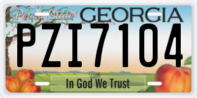 GA license plate PZI7104
