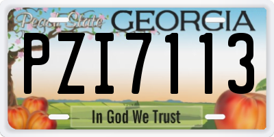 GA license plate PZI7113