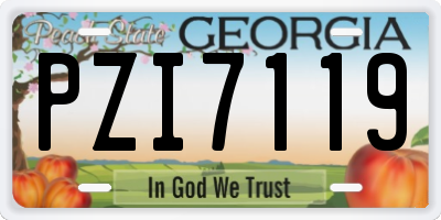GA license plate PZI7119
