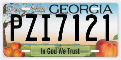 GA license plate PZI7121