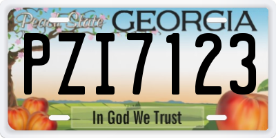 GA license plate PZI7123