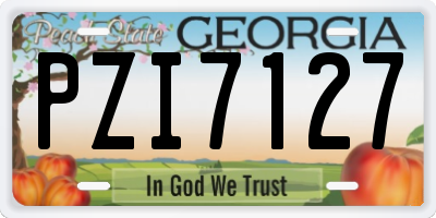 GA license plate PZI7127
