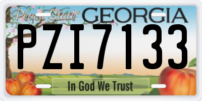 GA license plate PZI7133