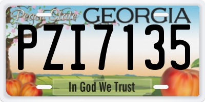 GA license plate PZI7135