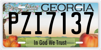 GA license plate PZI7137