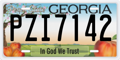 GA license plate PZI7142