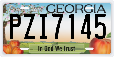 GA license plate PZI7145