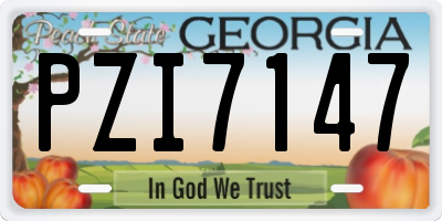 GA license plate PZI7147