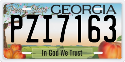 GA license plate PZI7163