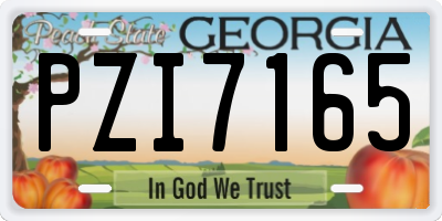 GA license plate PZI7165