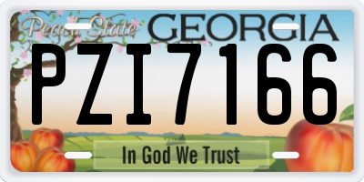 GA license plate PZI7166