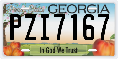 GA license plate PZI7167