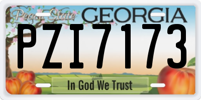 GA license plate PZI7173