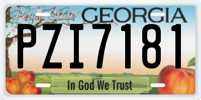 GA license plate PZI7181