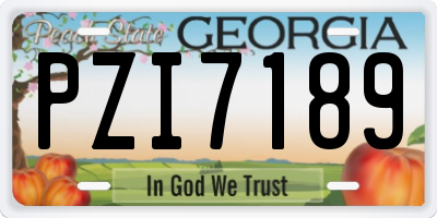 GA license plate PZI7189