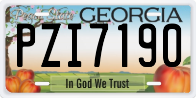 GA license plate PZI7190
