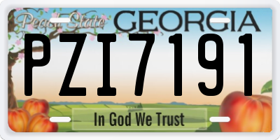 GA license plate PZI7191
