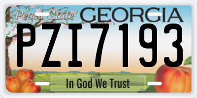 GA license plate PZI7193