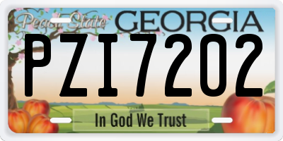 GA license plate PZI7202