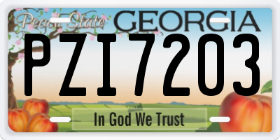 GA license plate PZI7203