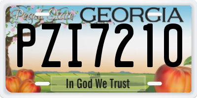 GA license plate PZI7210