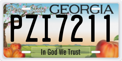 GA license plate PZI7211