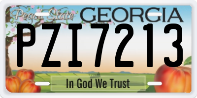 GA license plate PZI7213