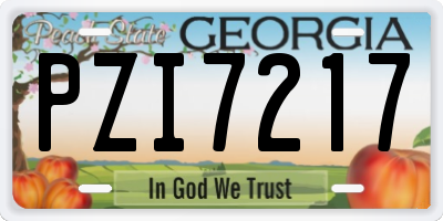 GA license plate PZI7217