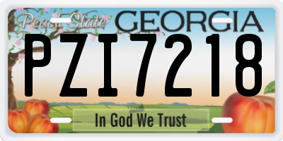 GA license plate PZI7218