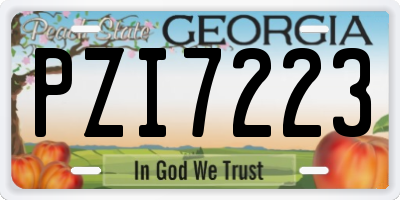 GA license plate PZI7223