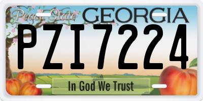 GA license plate PZI7224