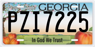 GA license plate PZI7225