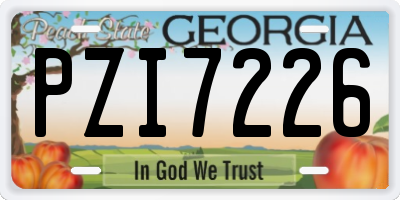 GA license plate PZI7226