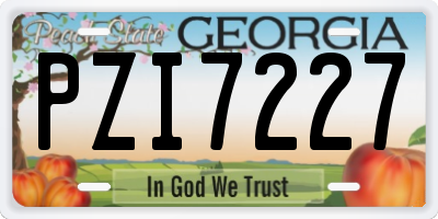 GA license plate PZI7227