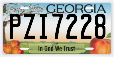 GA license plate PZI7228